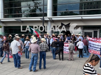 Parásitos en Pánico